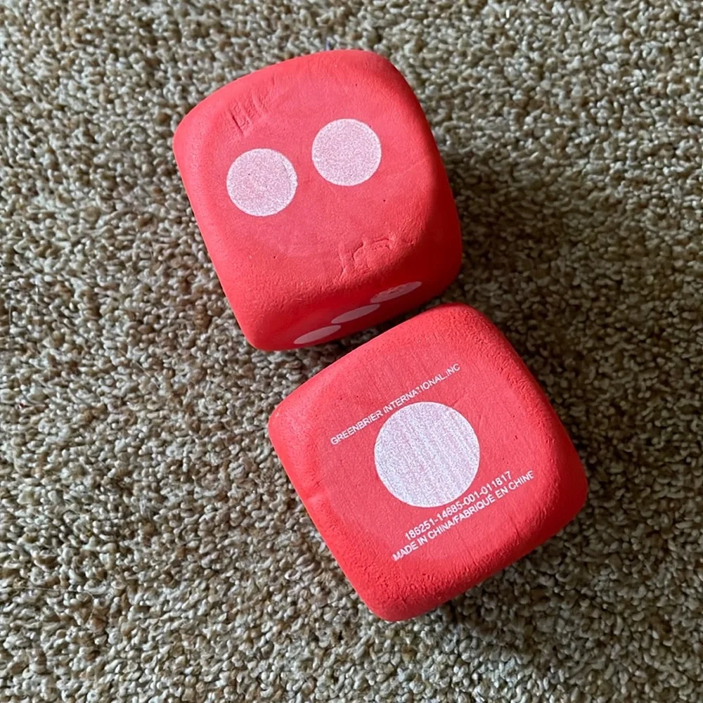 Large Foam Dice